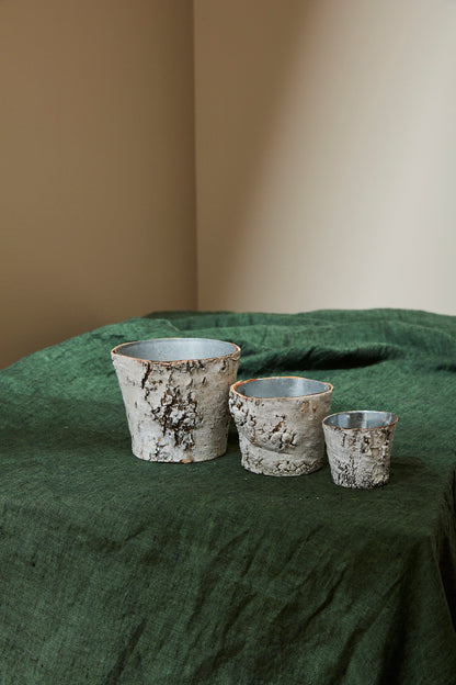 White Birch Pot w/ Zinc