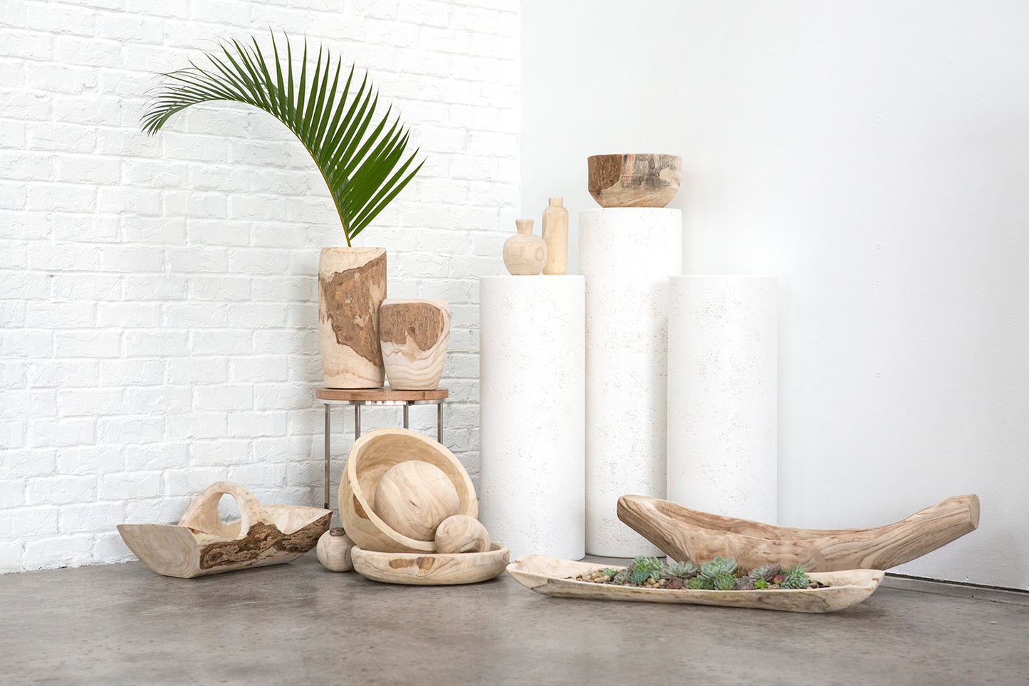 Yucca Collection