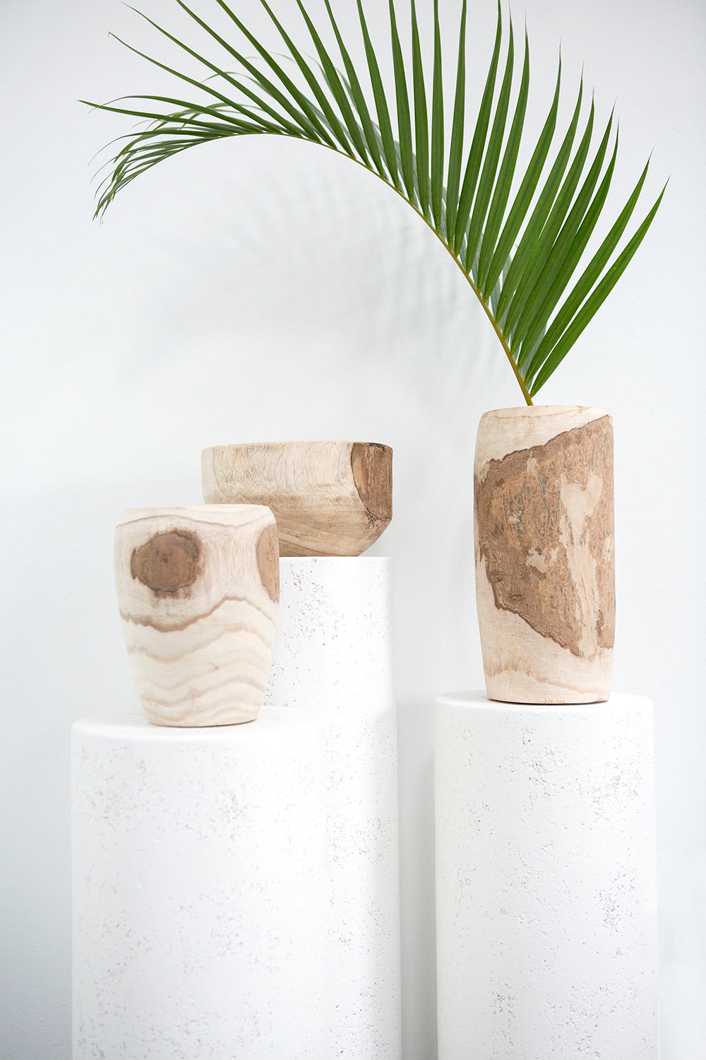 Yucca Collection
